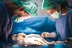 Tandis que la demande de transplantation d’organes est croissante, la faible durée de vie des poumons de donneurs limite les possibilités de greffes. Des chercheurs américains ont mis au point une méthode de circulation croisée de sang qui relie le système circulatoire d'un porc vivant aux poumons prélevés sur le donneur, permettant d’augmenter leur viabilité.